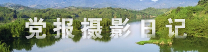 党报生态摄影日记