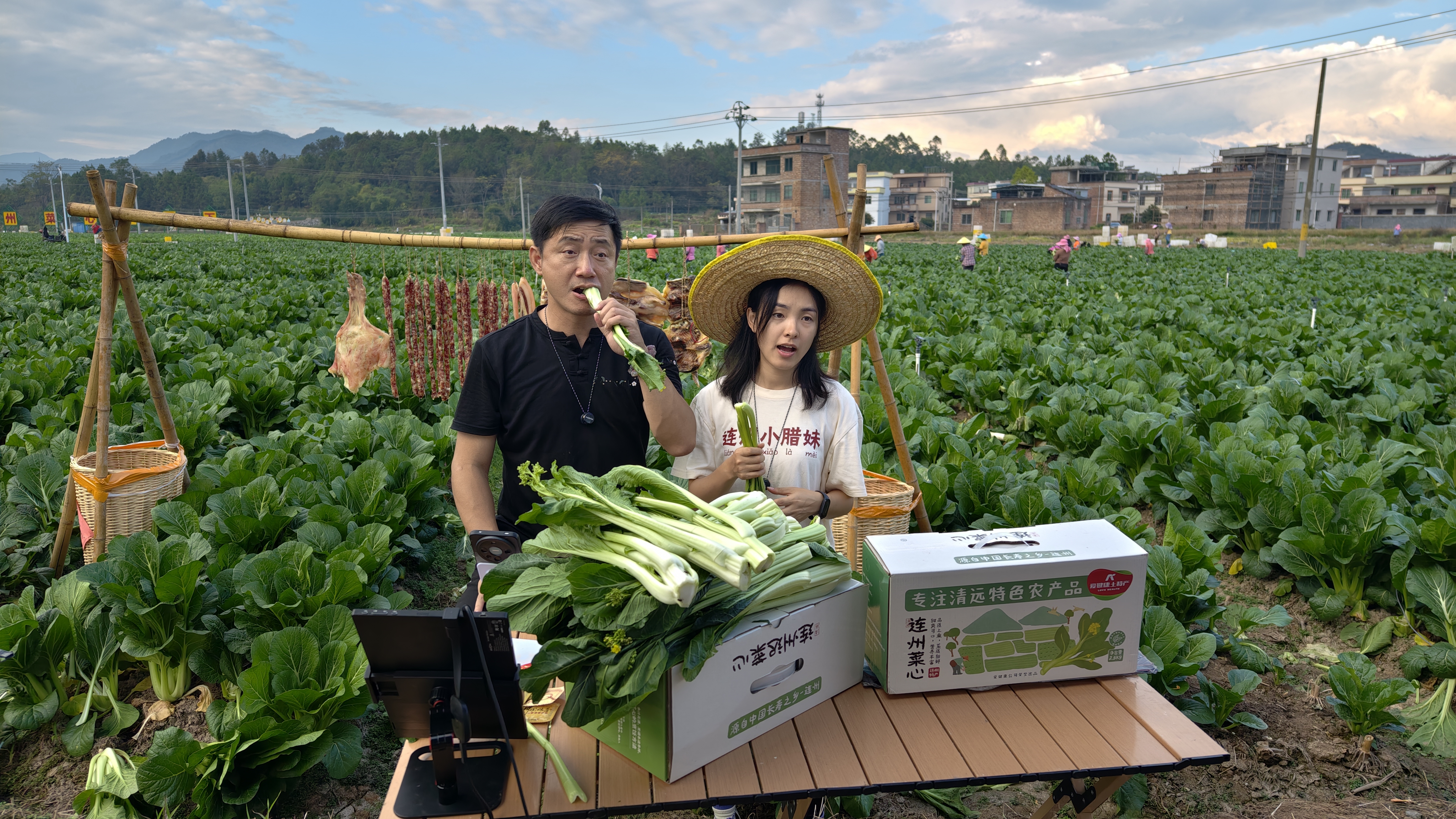 2024年11月14日，连州市西岸镇，主播们在田间带货，清远日报签约摄影师 骆志刚 摄 骆志刚 摄 骆志刚 摄 骆志刚 摄 骆志刚 摄 骆志刚 摄 骆志刚 摄 骆志刚 摄 骆志刚 摄 骆志刚 摄