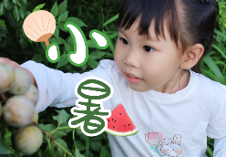 倏忽温风至 因循小暑来