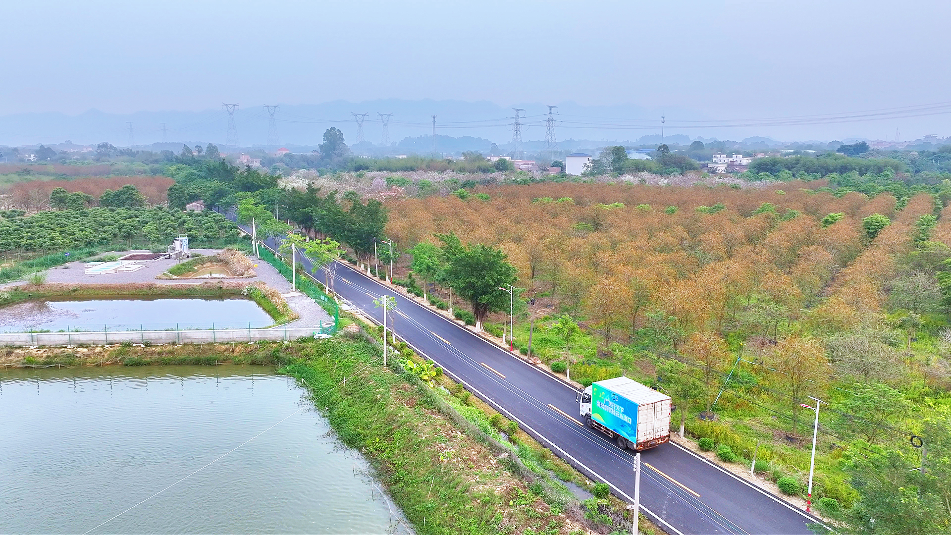 3月27日,首批鲜活的清新桂花鱼装车发往香港。 3月27日,首批鲜活的清新桂花鱼装车发往香港。