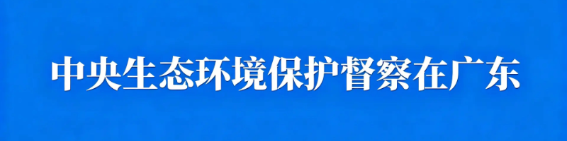 专题稿封面