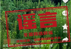 超强厄尔尼诺将带来什么影响(2026·08·19)